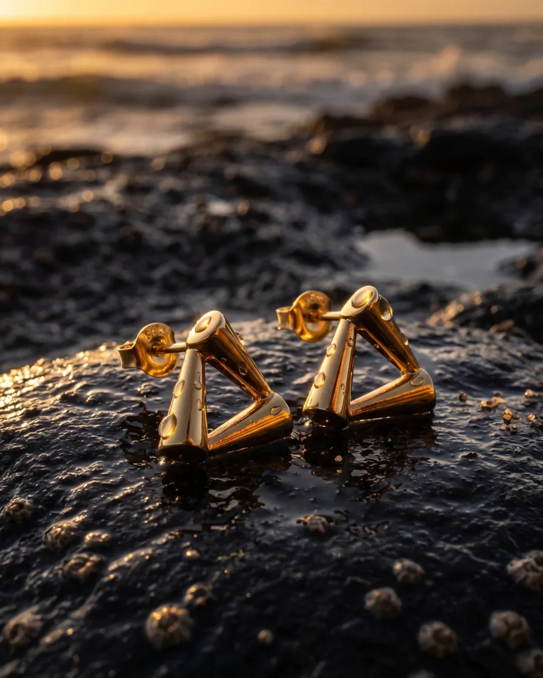 ARENA EARRINGS